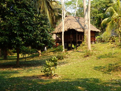 Corto Maltes, Amazonia.